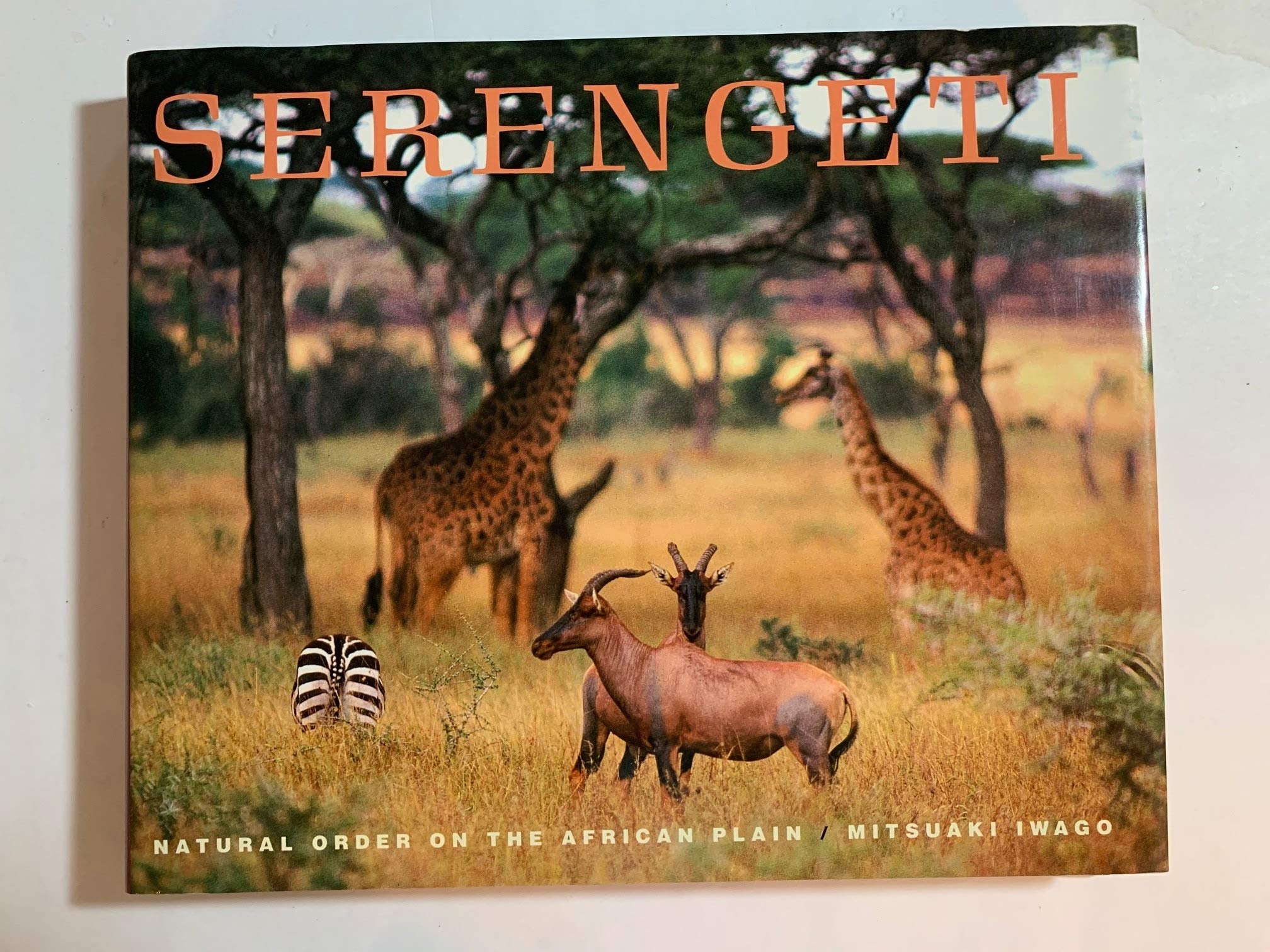 Serengeti: Natural Order on the African Plain book