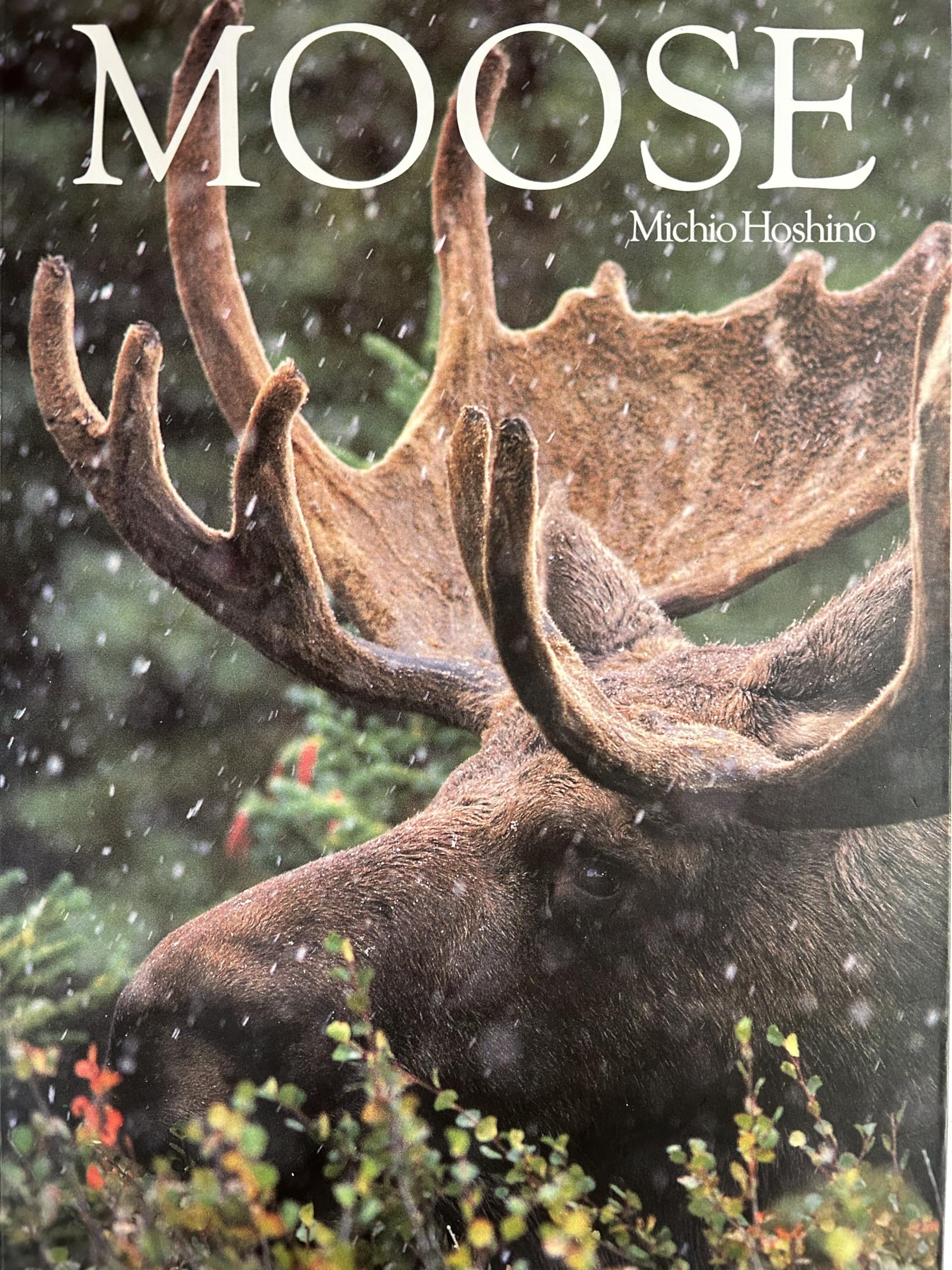 Moose Mathematics