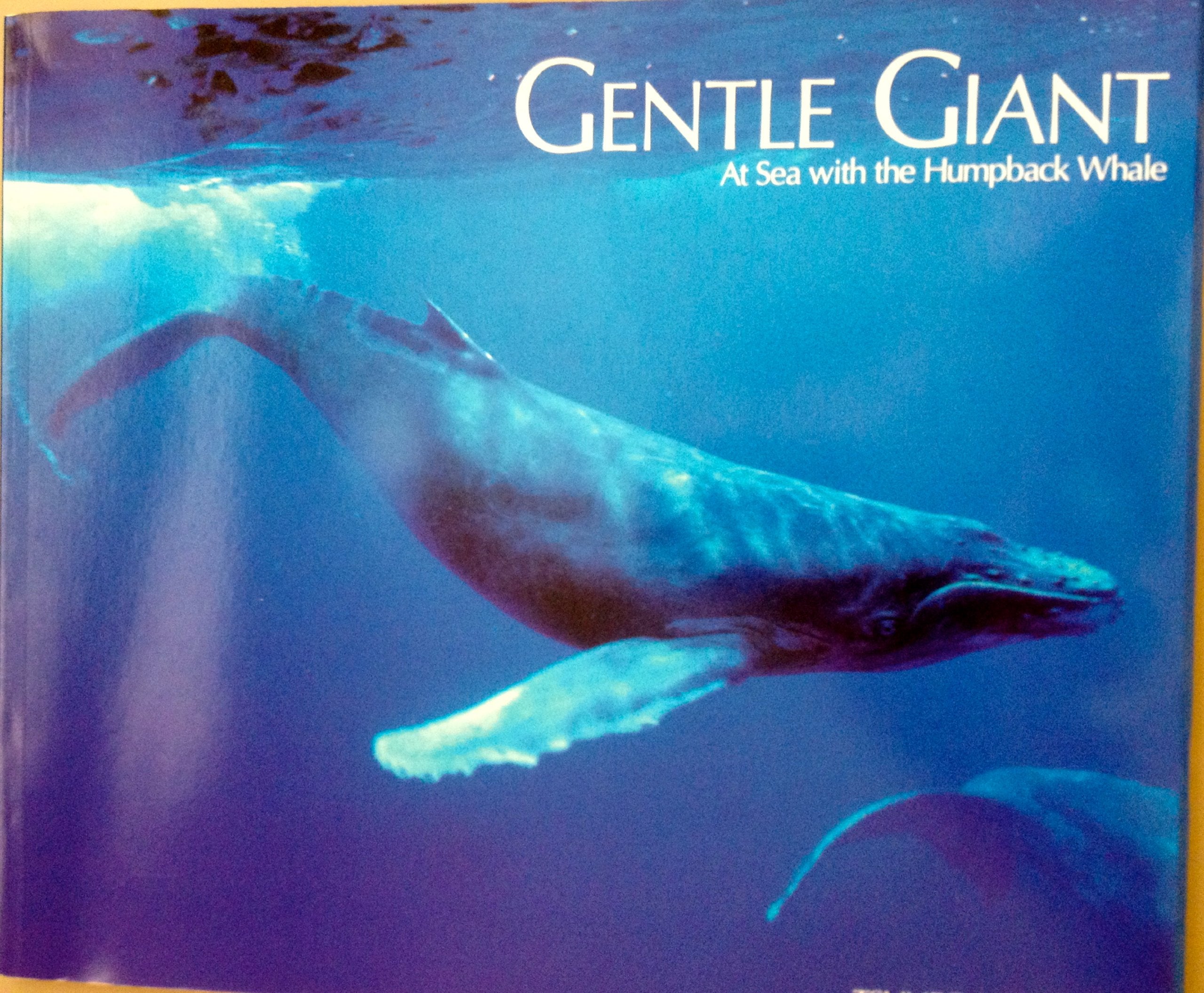 Gentle Giant: At Sea With the Humpback Whale Mathematics