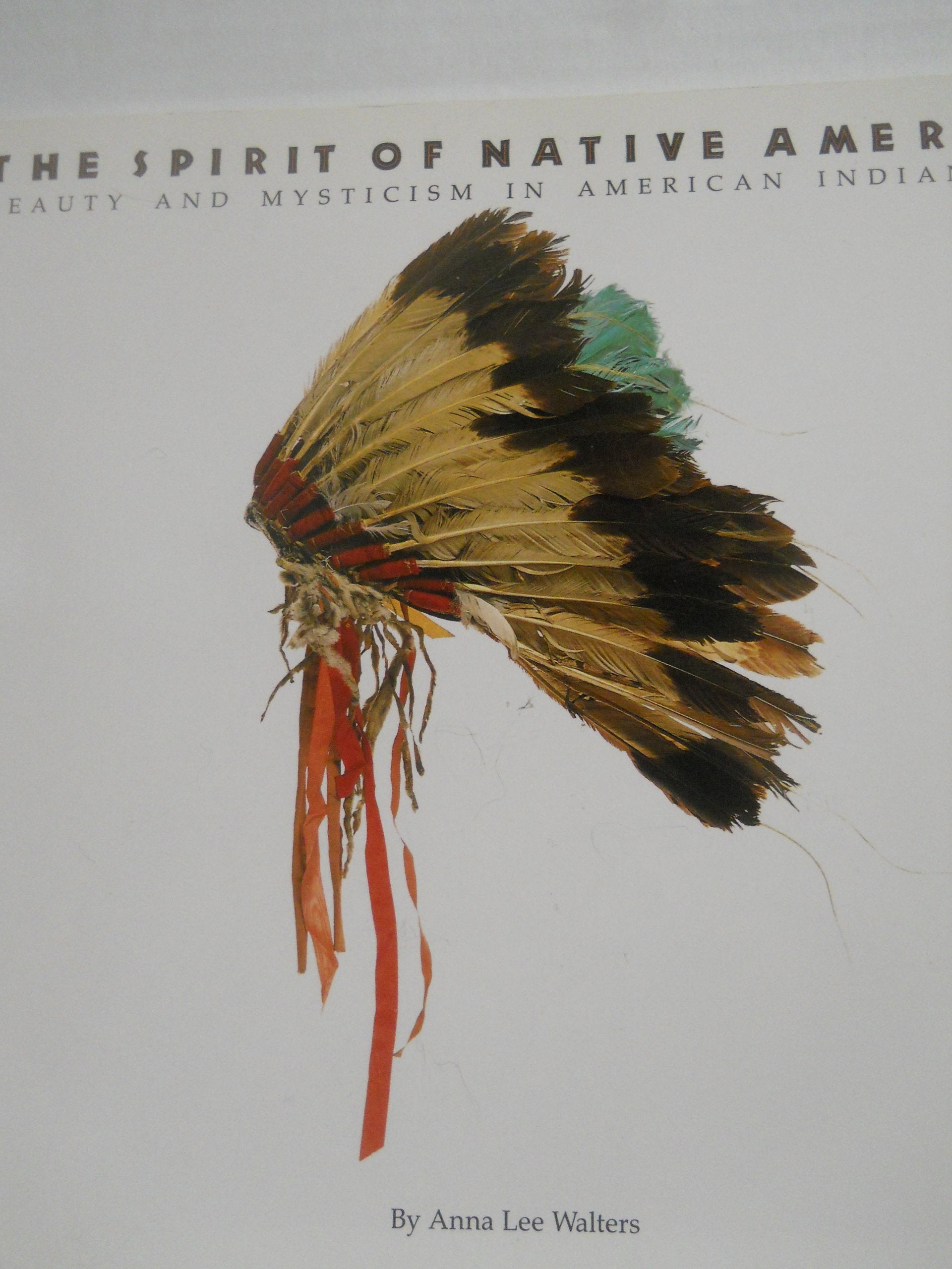The Spirit of Native America: Beauty and Mysticism in American Indian Art Film, Art & Culture