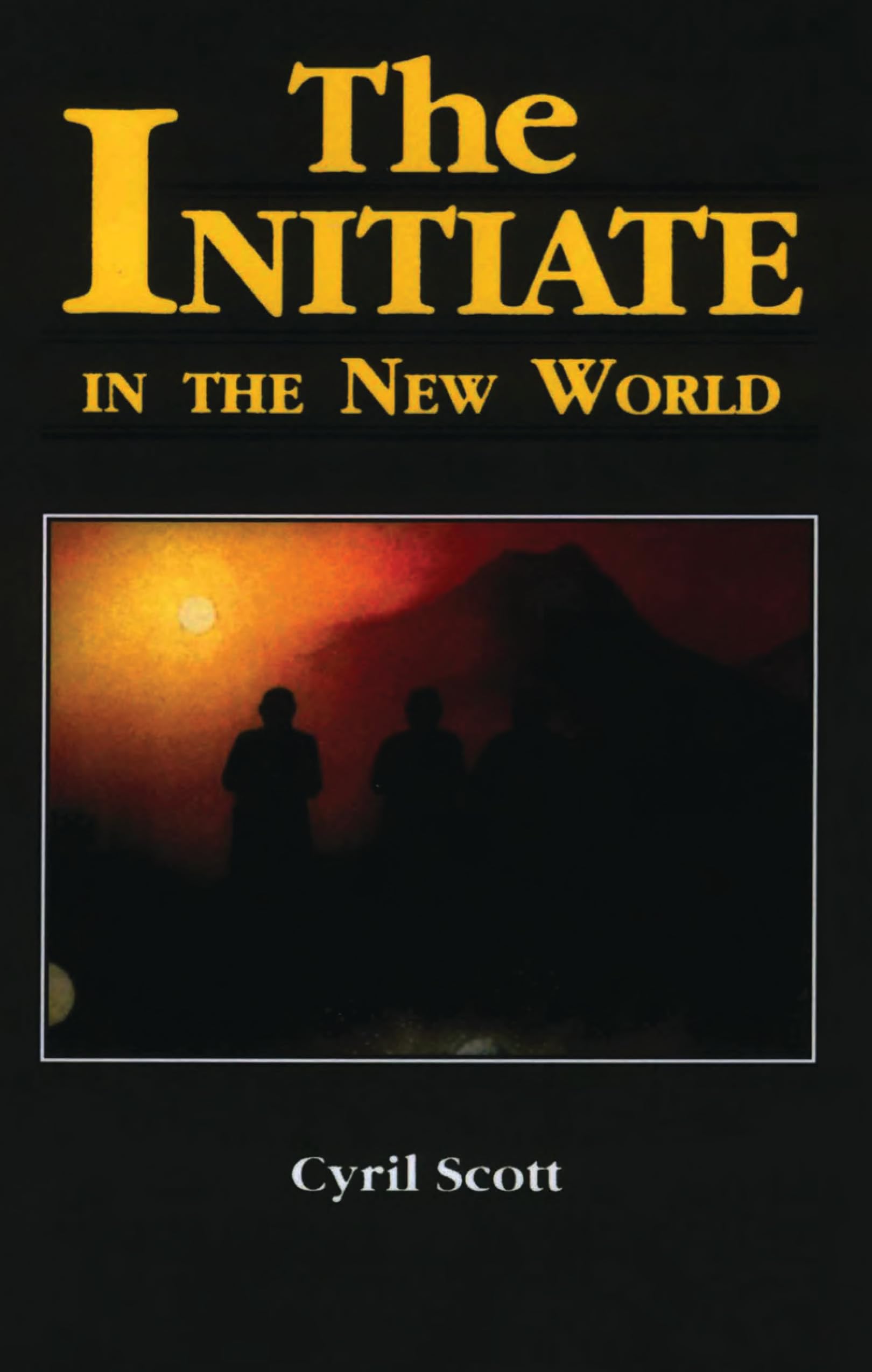 The Initiate in the New World Contemporary literature