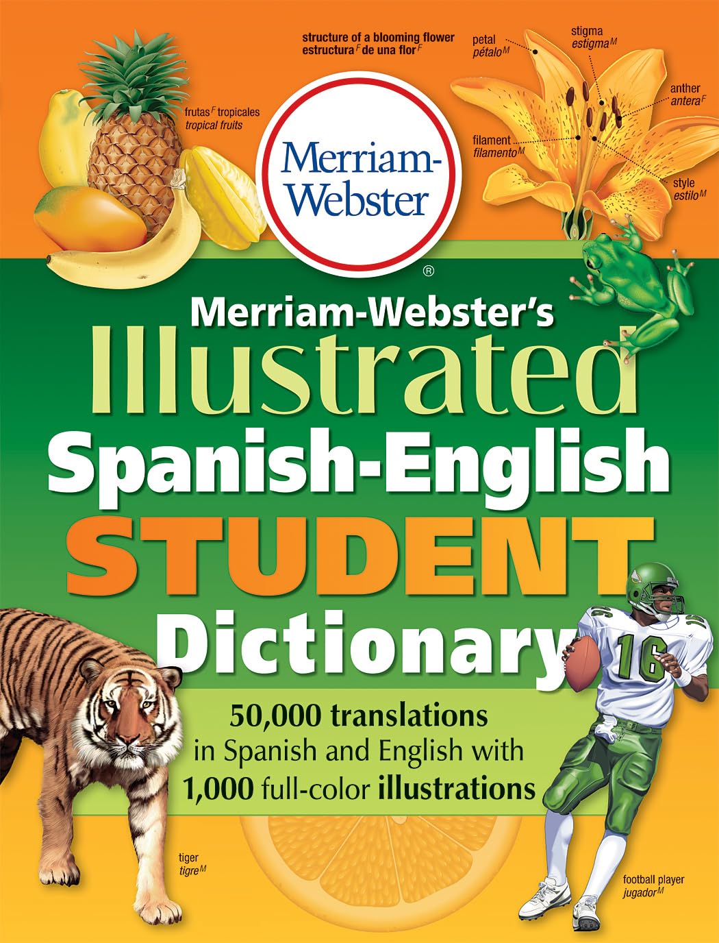 Merriam-Webster's Illustrated Spanish-English Student Dictionary Foreign Languages ​​& Dictionaries