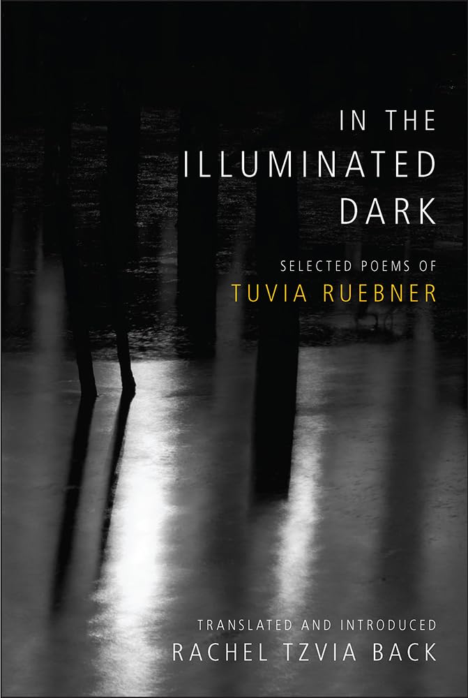 In the Illuminated Dark: Selected Poems: Selected Poems of Tuvia Ruebner Religion & Esotericism