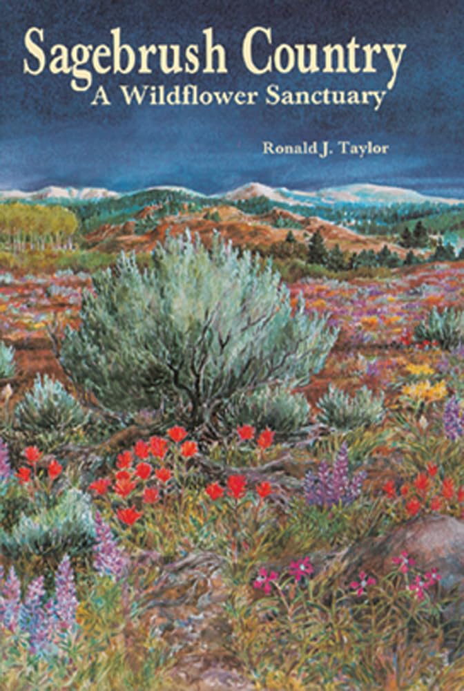 Sagebrush Country: A Wildflower Sanctuary Mathematics