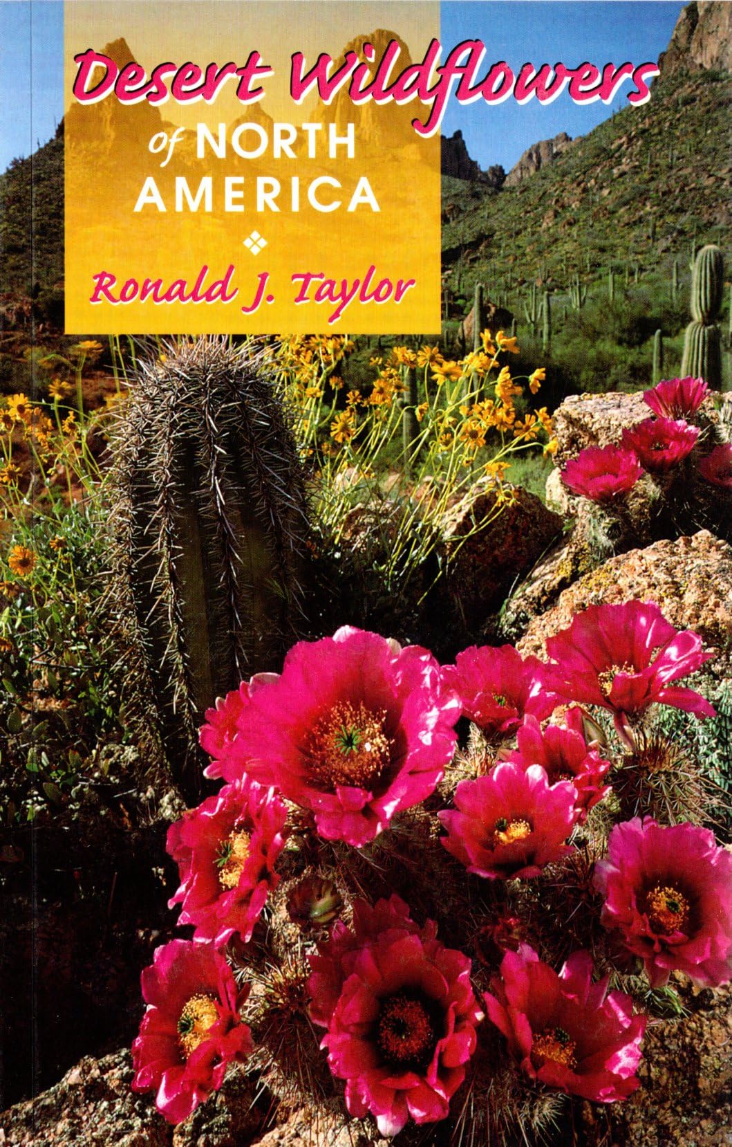 Desert Wildflowers of North America Mathematics