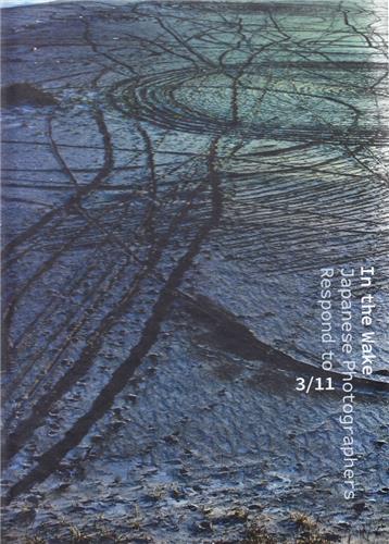 In the Wake Japanese Photographers Respond to 3/11 Mathematics