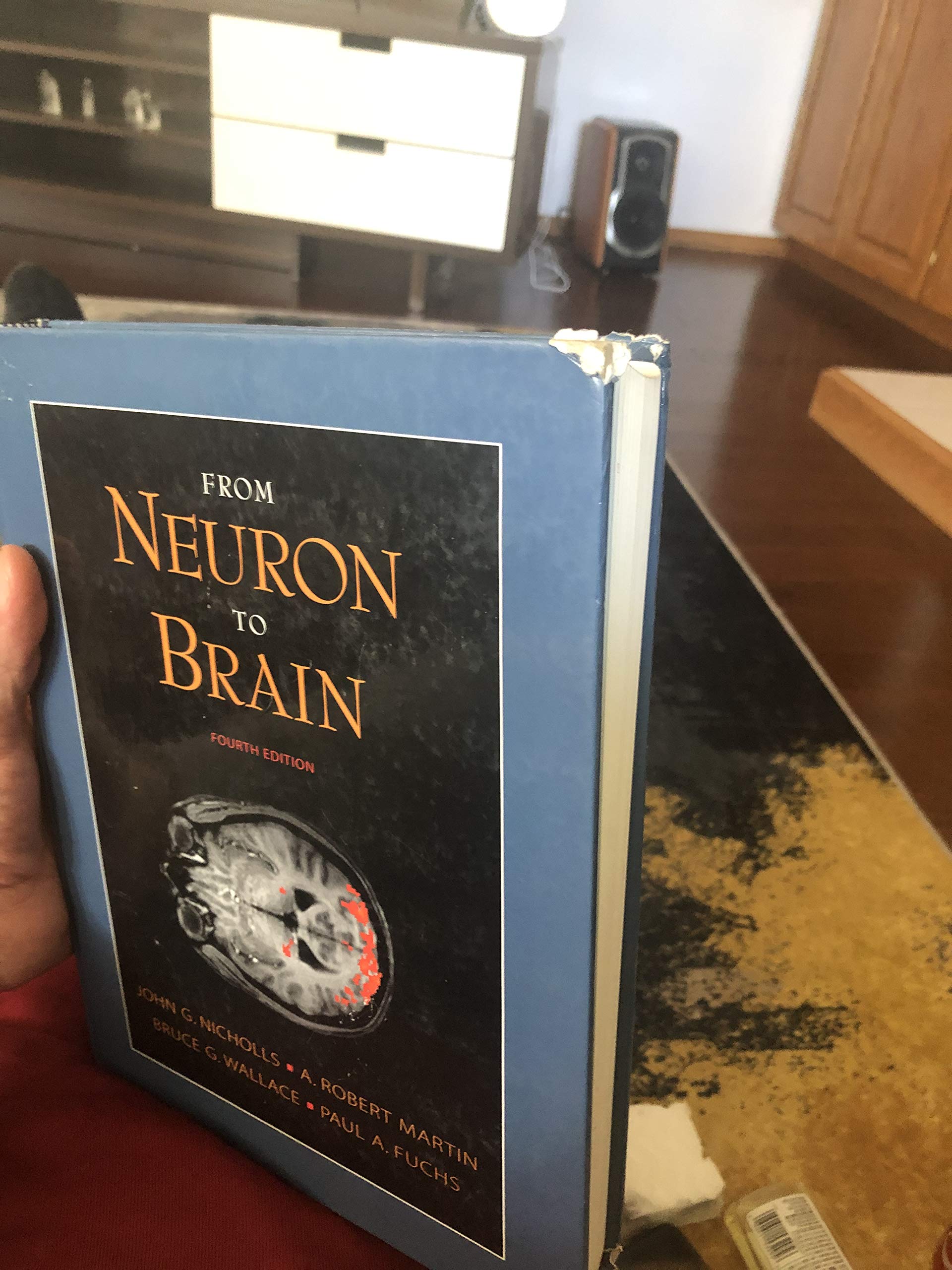 From Neuron to Brain: Cellular Approach to the Function of the Nervous System Medicine