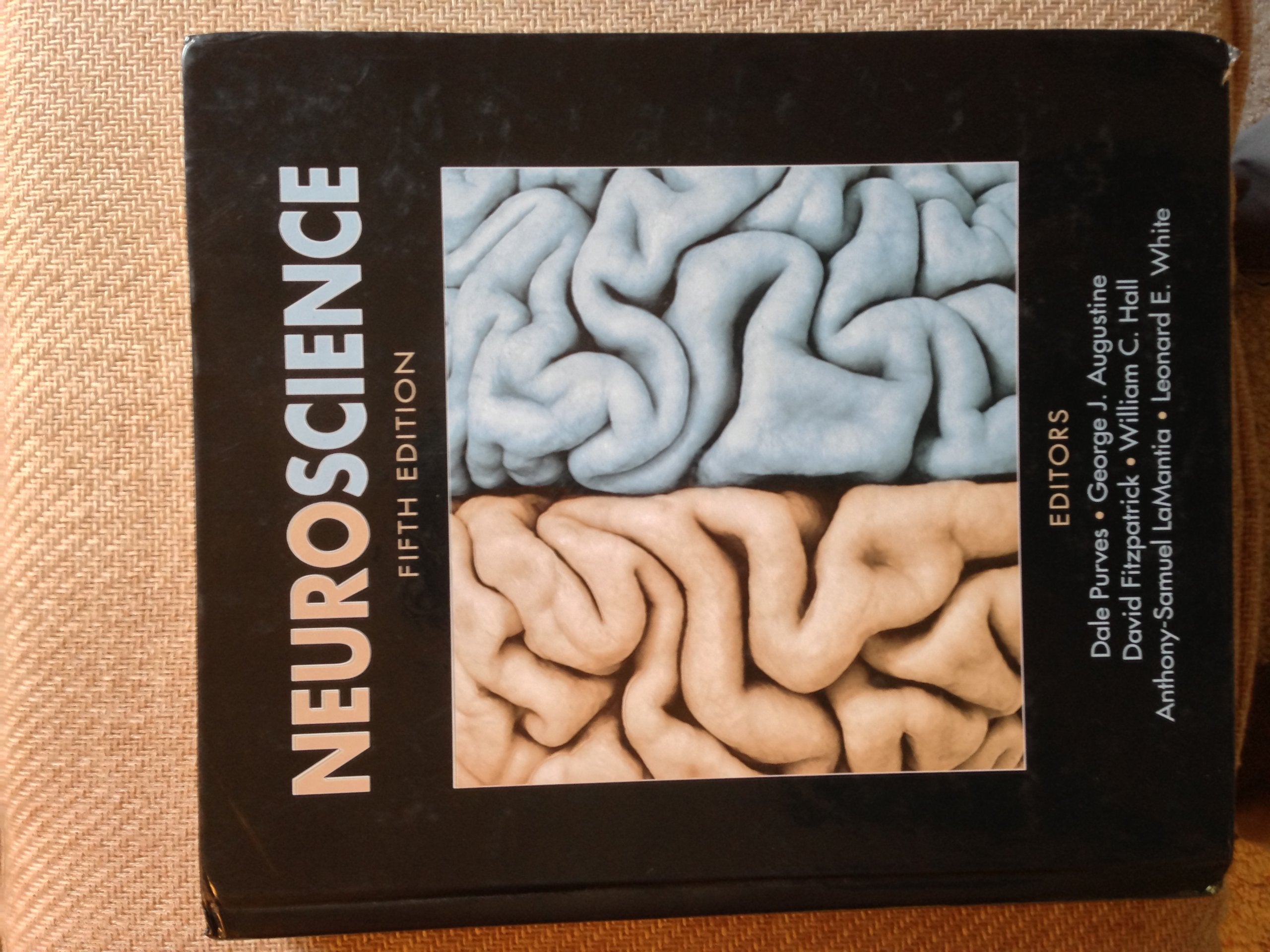 Neuroscience Medicine Books