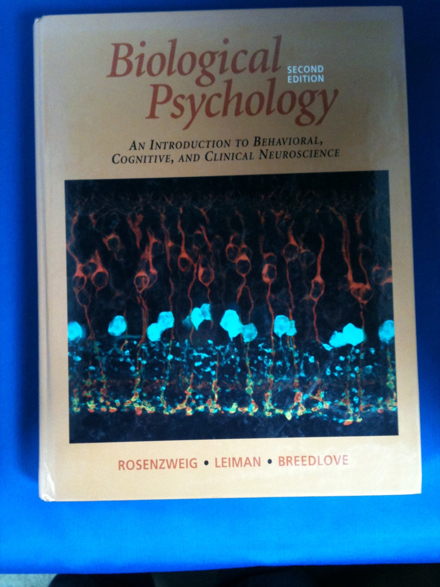 Biological Psychology: Introduction to Behavioral, Cognitive and Clinical Neuroscience Natural Sciences