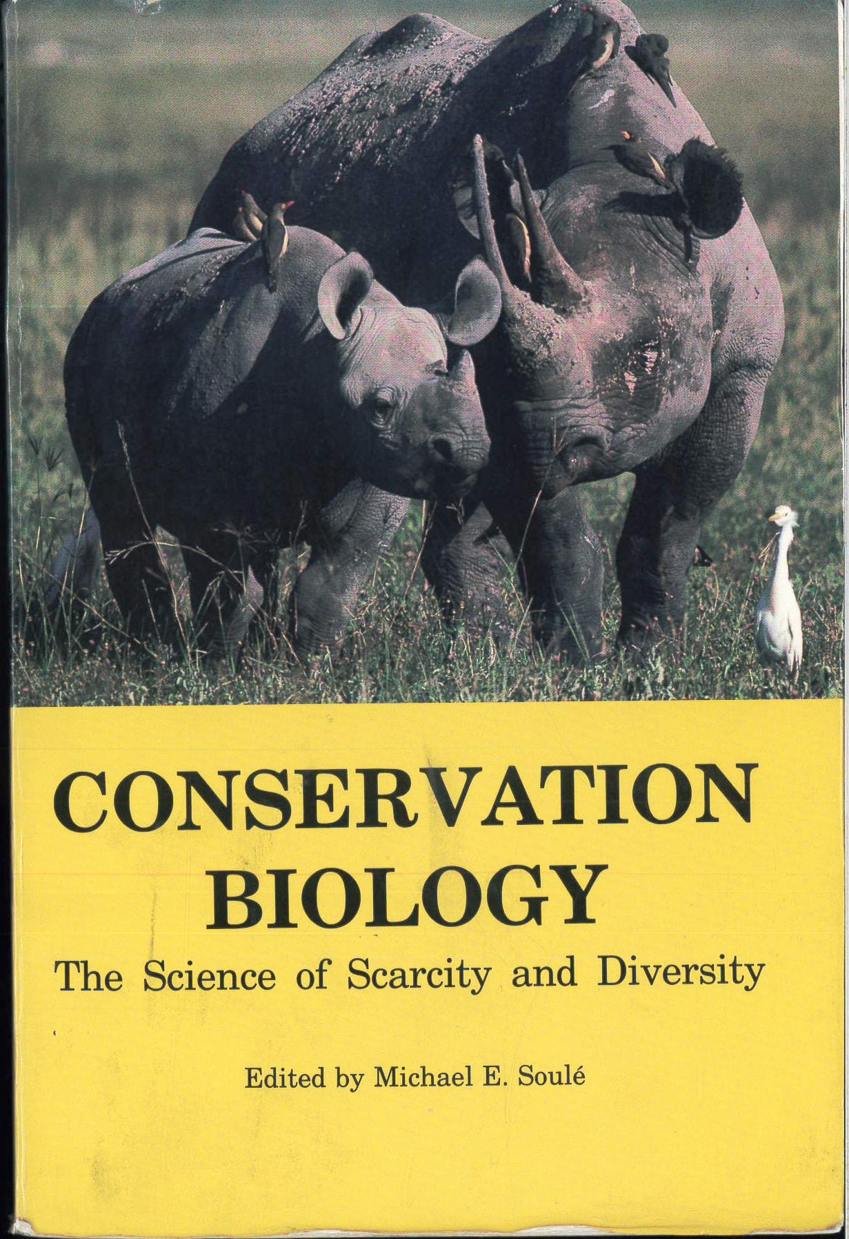 Conservation Biology: The Science of Scarcity and Diversity Mathematics