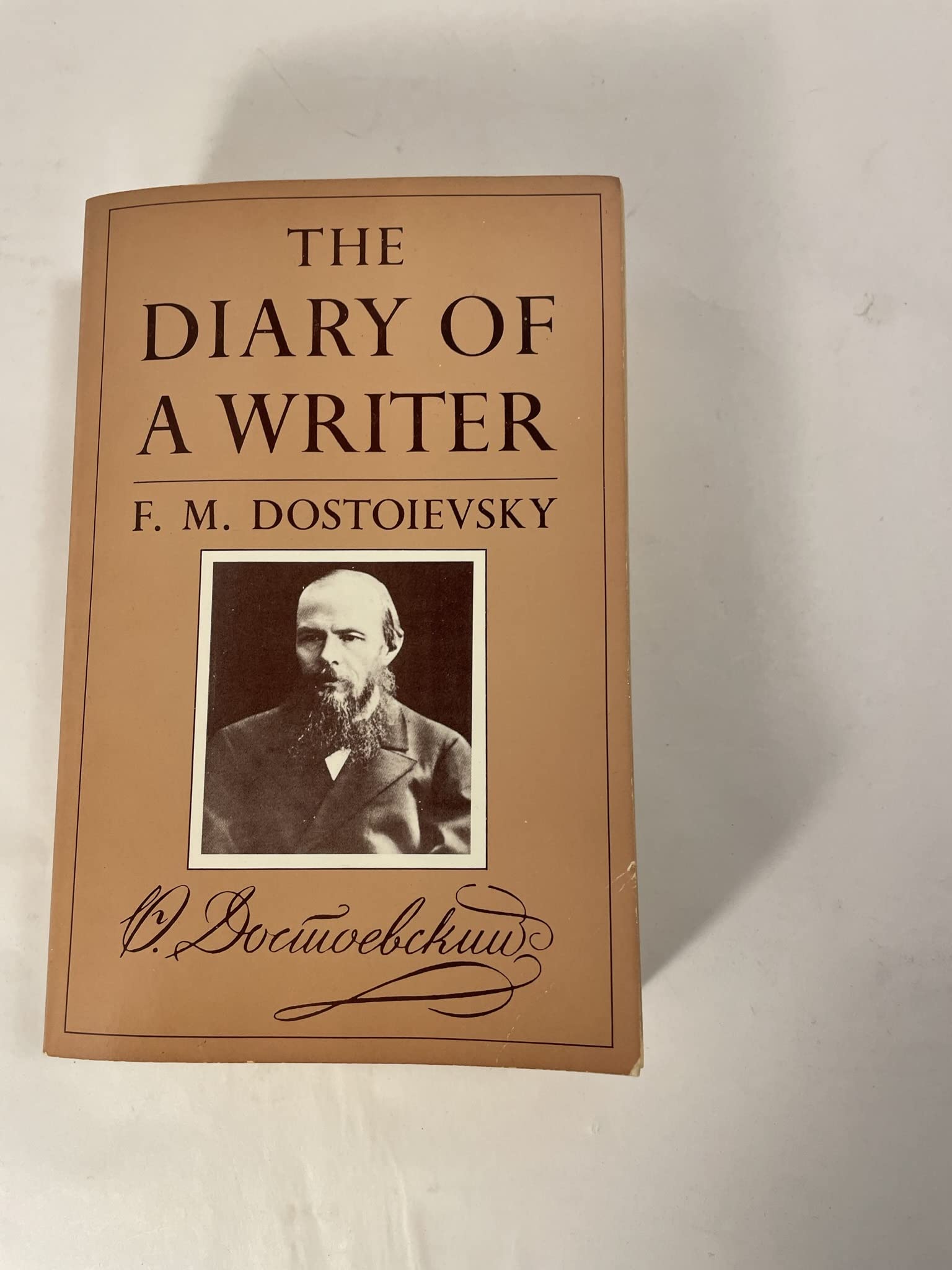 The Diary of a Writer book