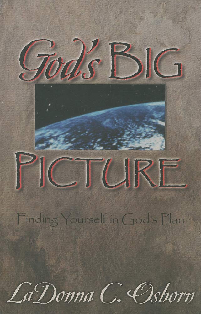 God's Big Picture: Finding Yourself in God's Plan Social Sciences