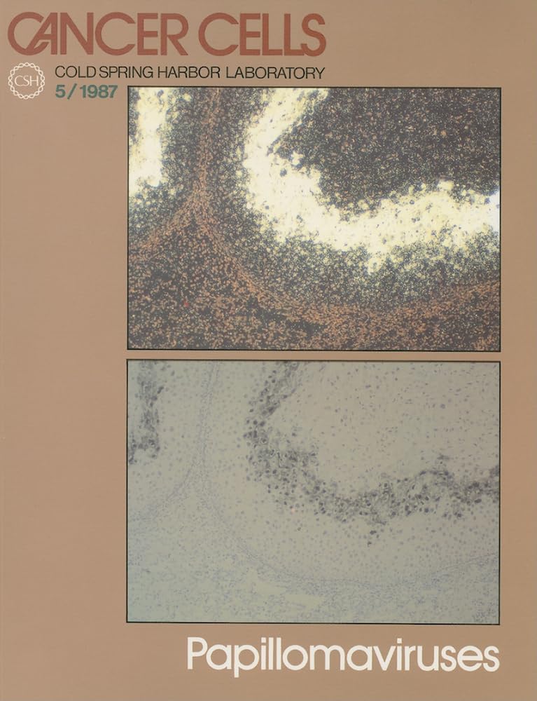 Papillomaviruses (Cancer Cells, Band 5) Medicine