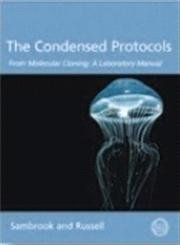 The Condensed Protocols from Molecular Cloning: A Laboratory Manual Business & Technology