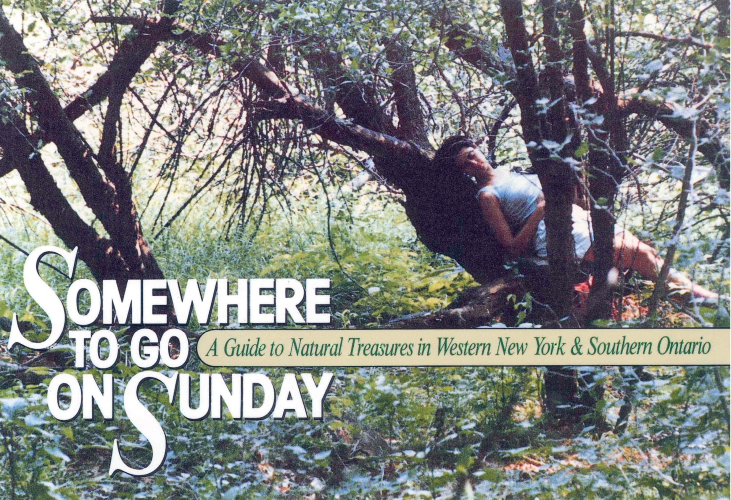 Somewhere to Go on Sunday book
