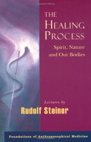 The Healing Process: Spirit, Nature and Our Bodies (Foundations of Anthroposophical Medicine, Band 2) Medicine