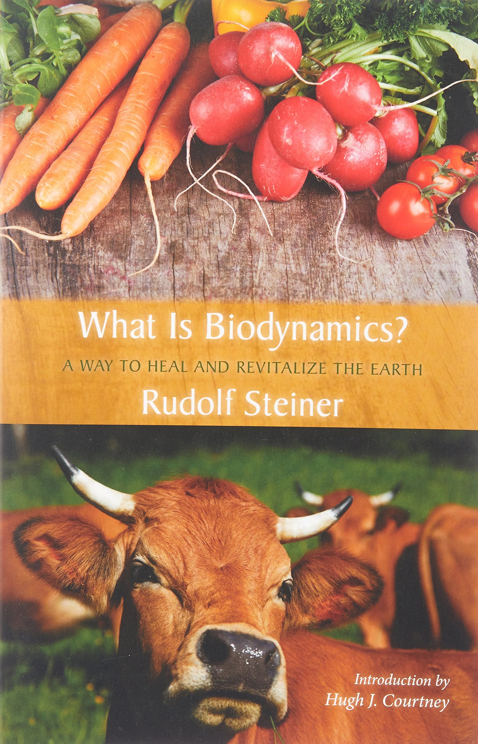 What is Biodynamics?: A Way to Heal and Revitalize the Earth Social Sciences