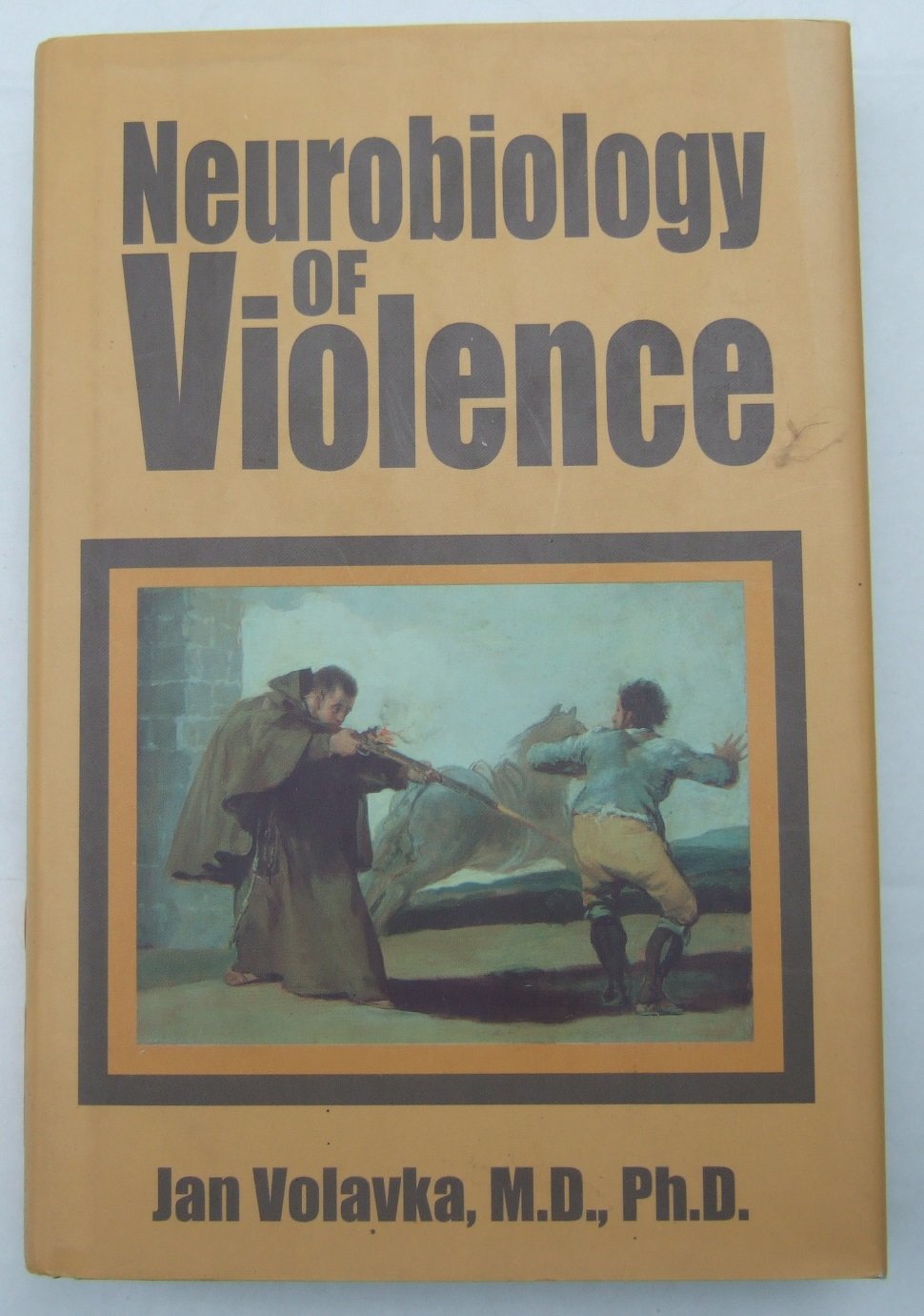 Neurobiology of Violence Medicine