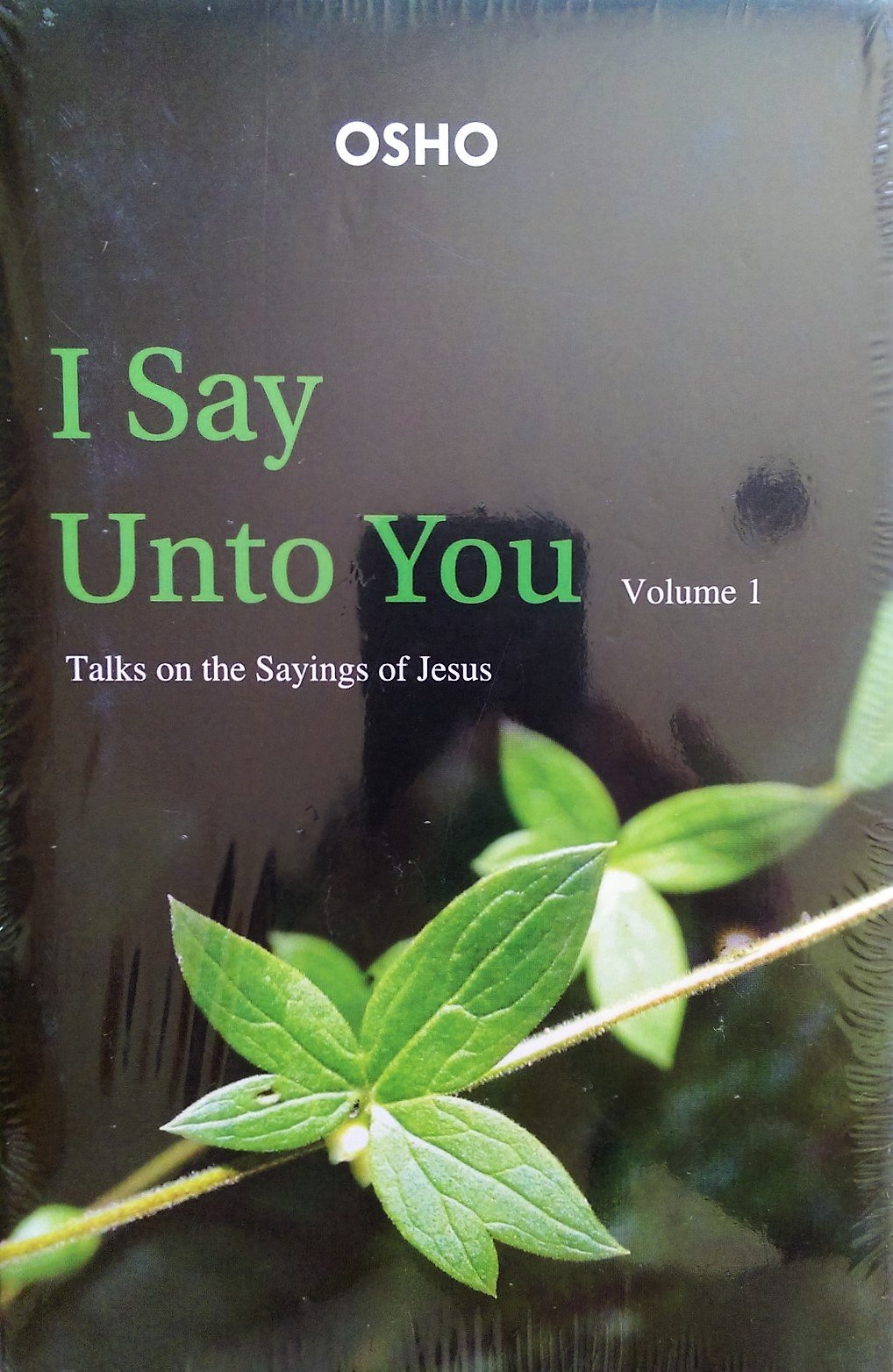 I Say Unto You: Talks on the Sayings of Jesus. Vol. 1 Religion & Esotericism