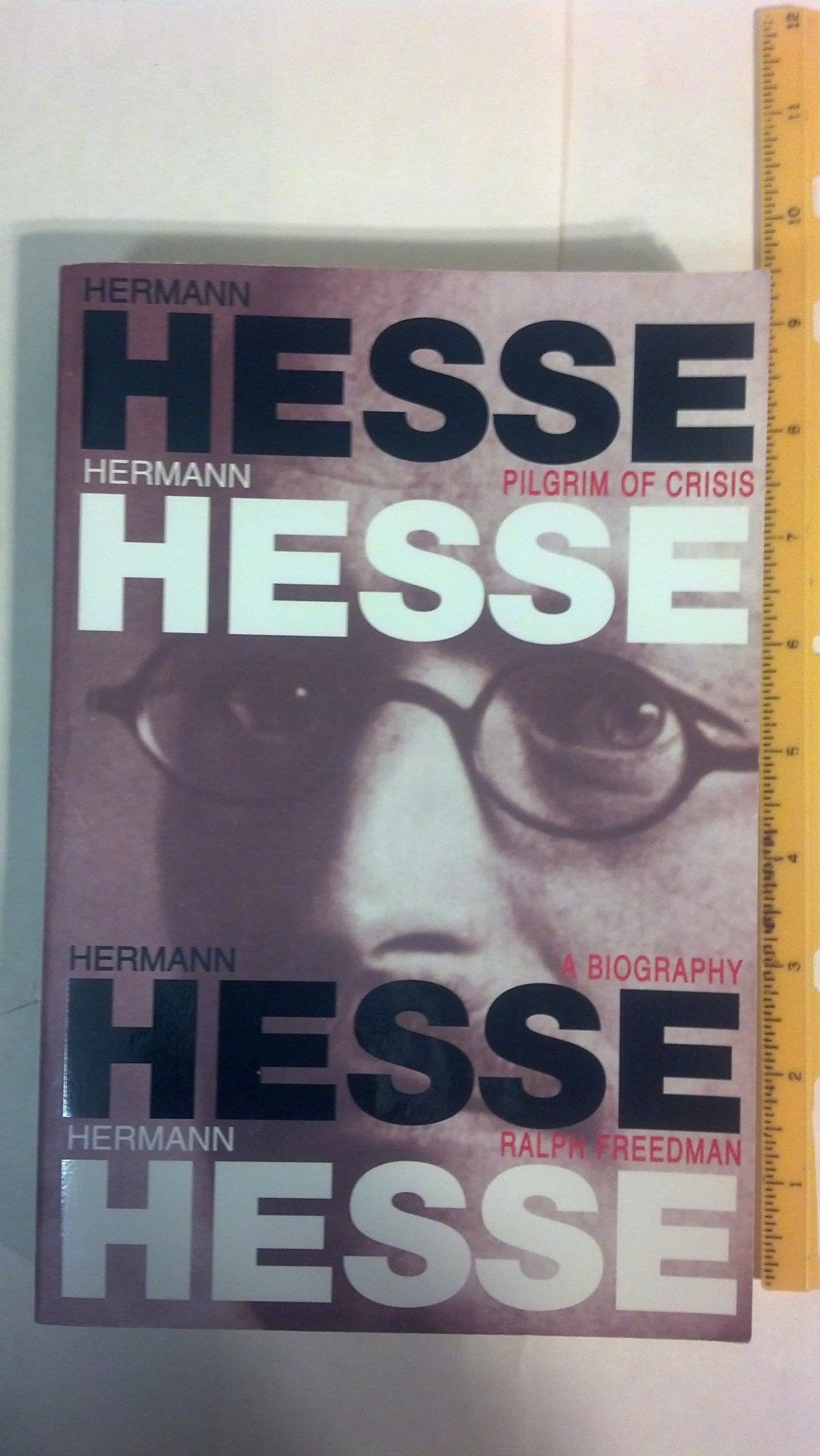 Hermann Hesse: Pilgrim of Crisis : A Biography Contemporary literature