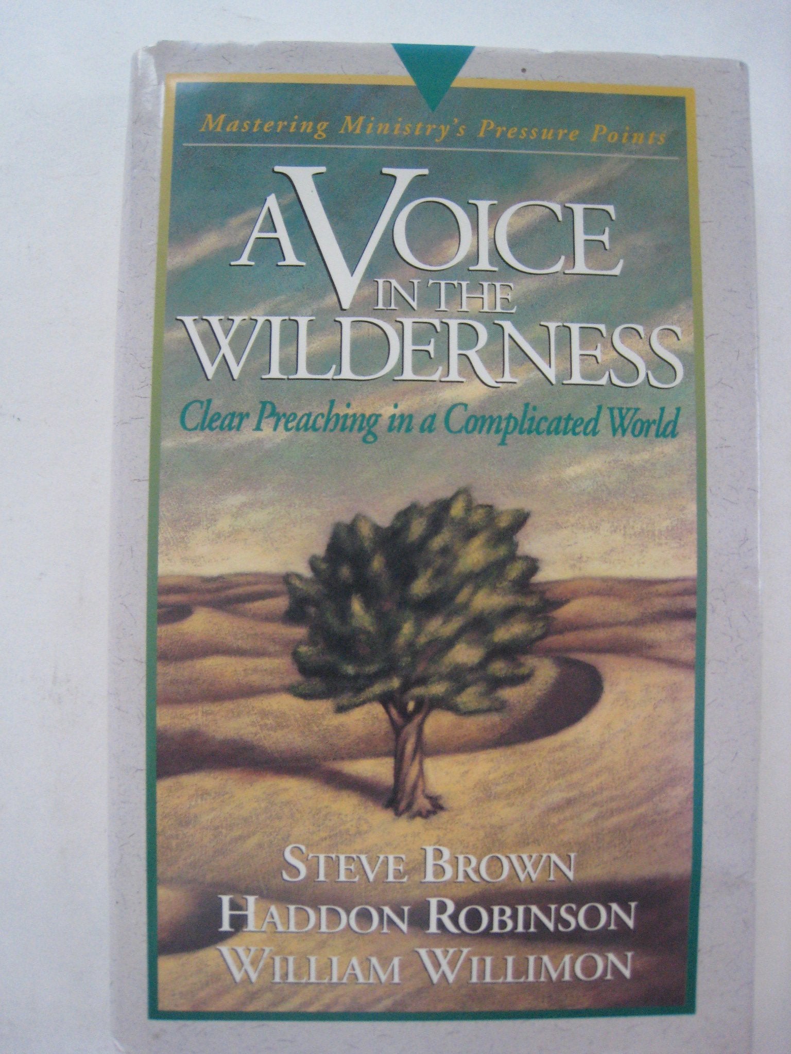 A Voice in the Wilderness: Clear Preaching in a Complicated World book