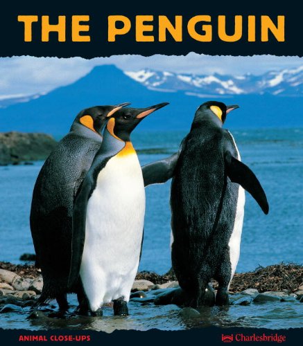The Penguin (Animal Close-Ups) Non-fiction