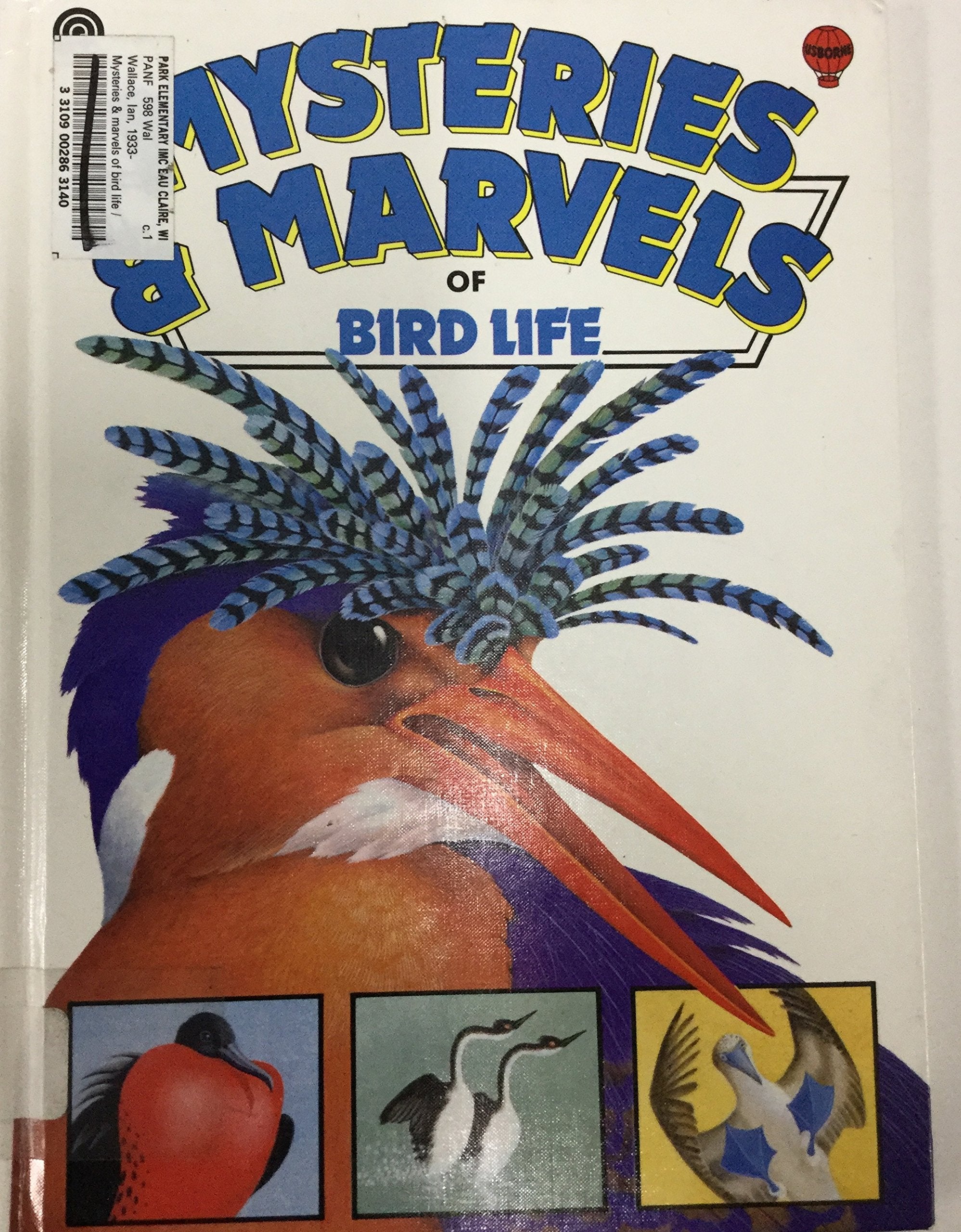Mysteries and Marvels of Bird Life Business & Technology