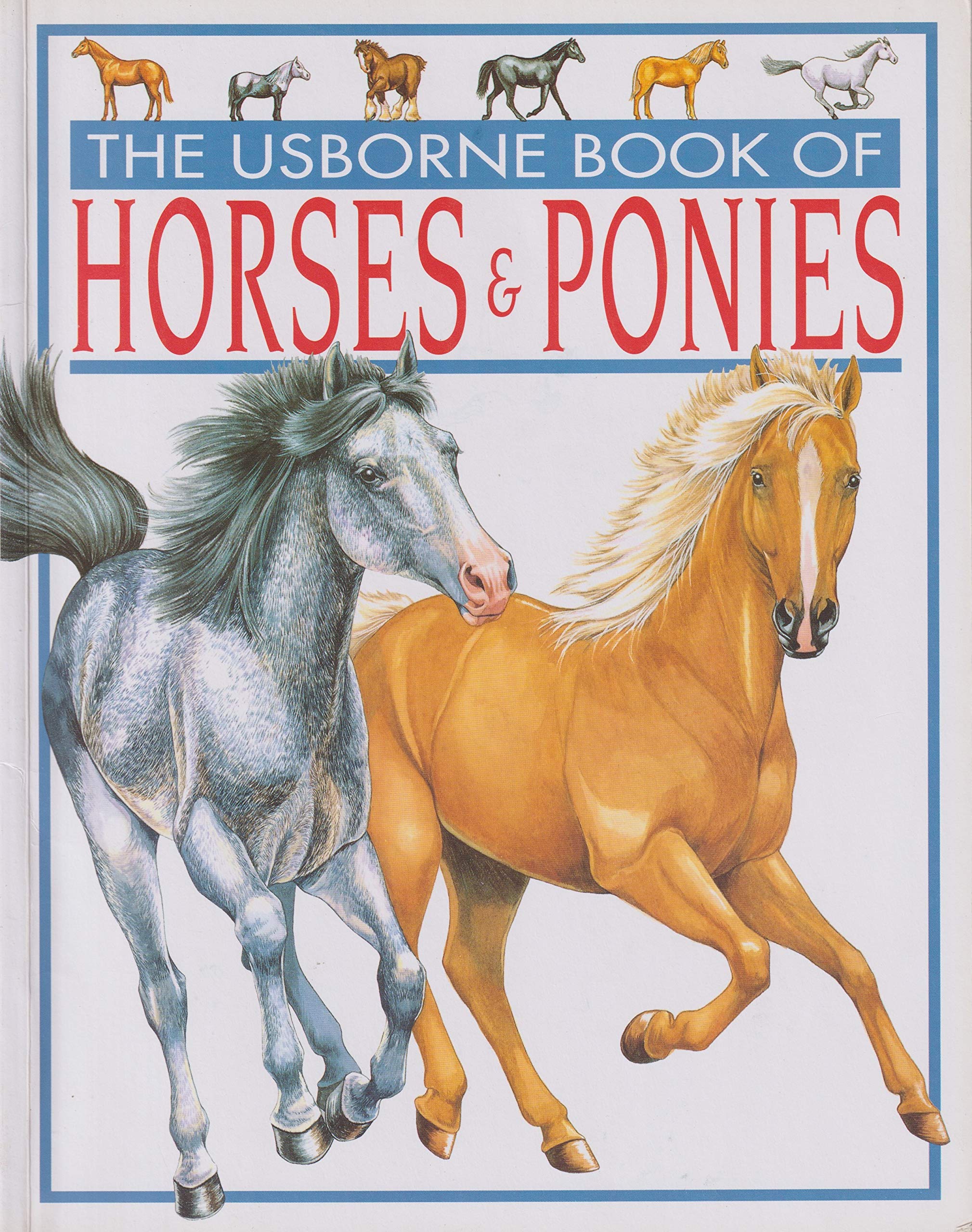 The Usborne Book of Horses & Ponies book