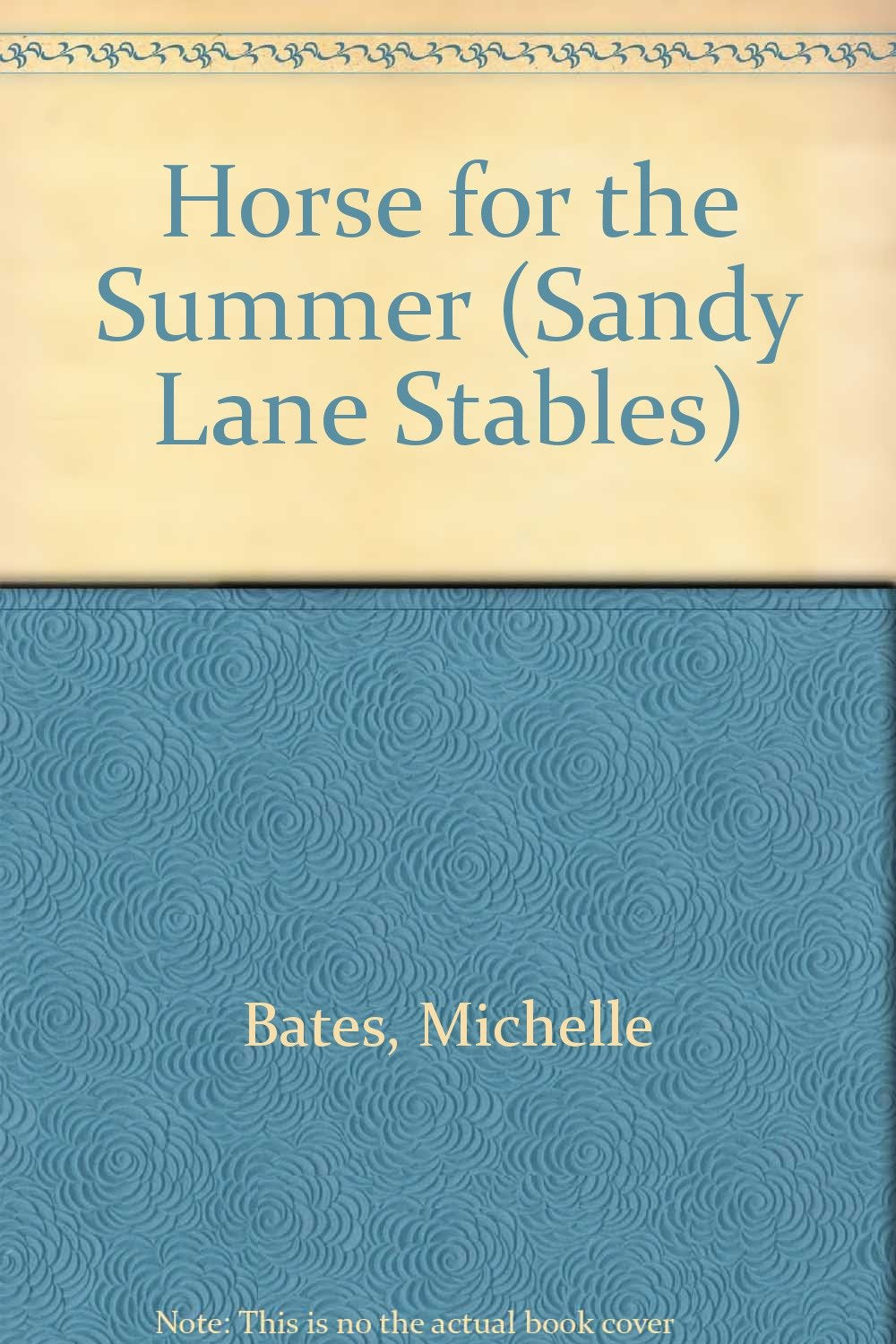 A Horse for the Summer (Sandy Lane Stables Series) Novels & Short Stories