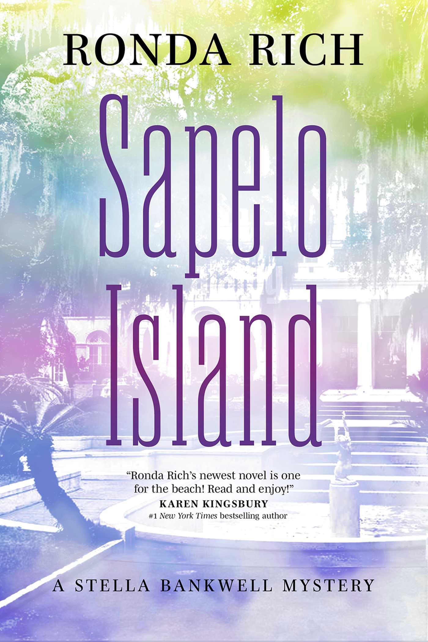 Sapelo Island: A Stella Bankwell Mystery Contemporary literature