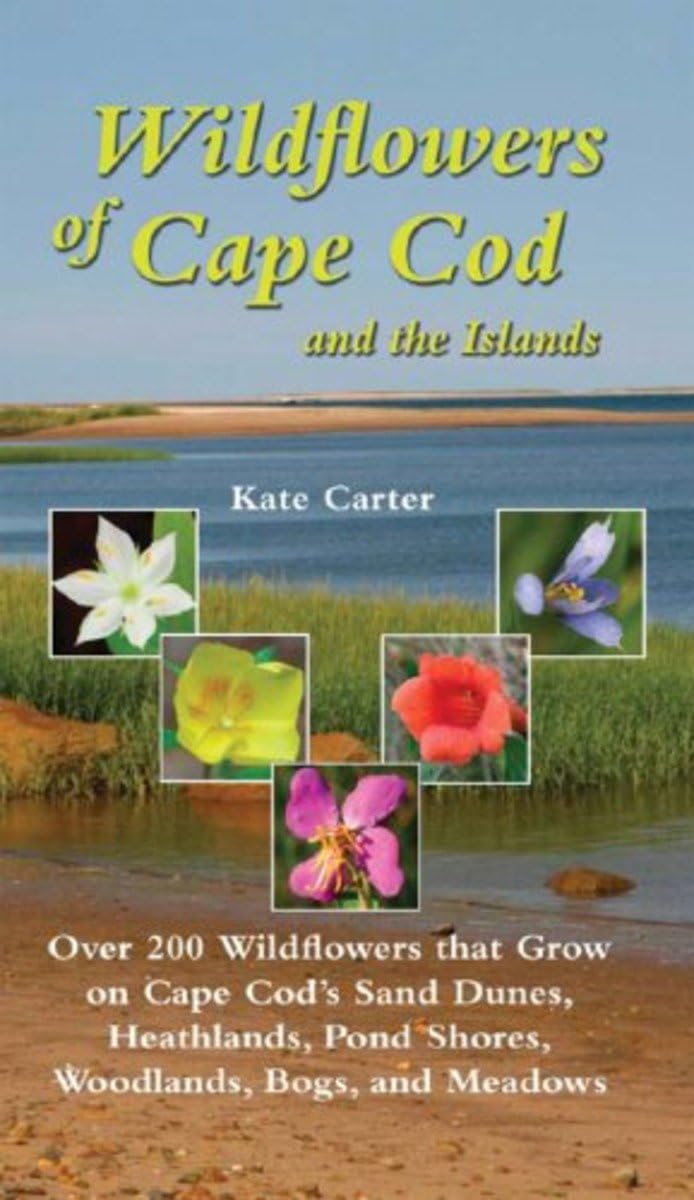 Wildflowers of Cape Cod and the Islands: Over 200 Wildflowers That Grow on Cape Cod's Sand Dunes, Heathlands, Pond Shores, Woodlands, Bogs and Meadows Mathematics