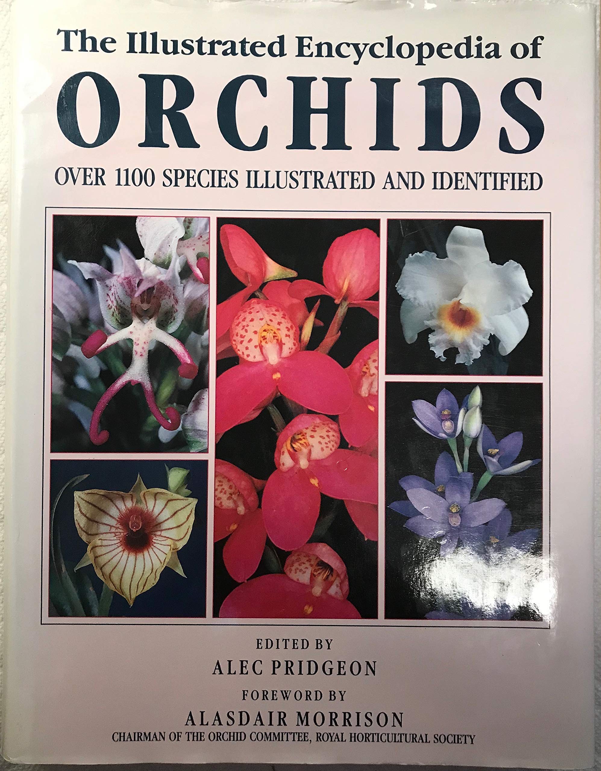 The Illustrated Encyclopedia of Orchids Garden & Plants