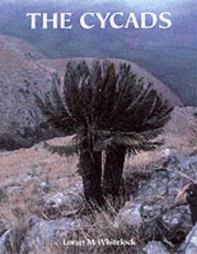The Cycads Garden & Plants