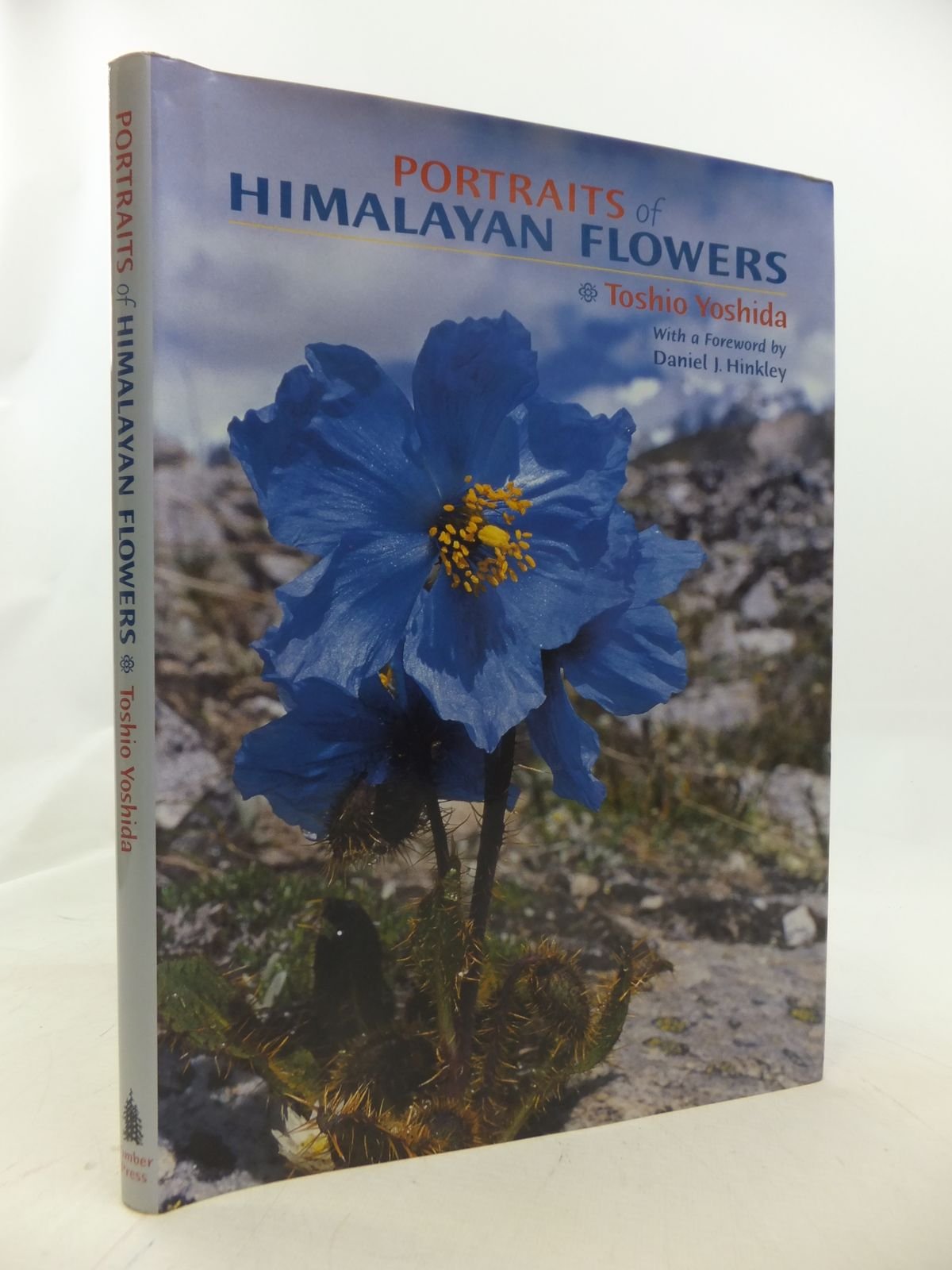 Portraits of Himalayan Flowers Mathematics