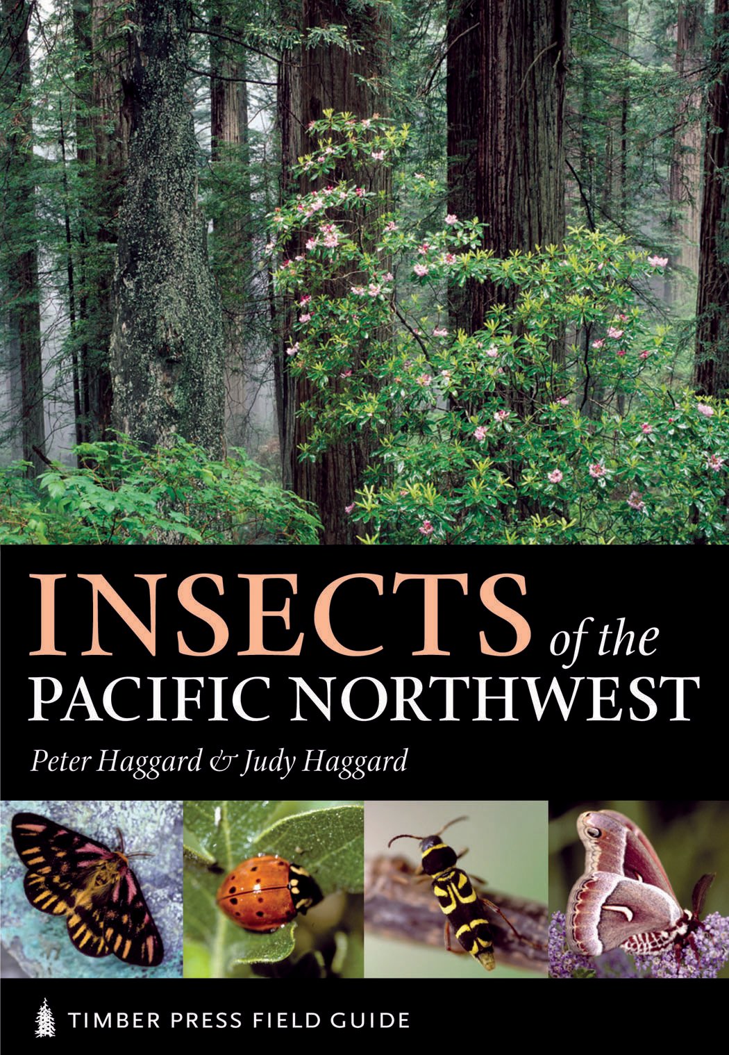 Insects of the Pacific Northwest (Timber Press Field Guide) Mathematics