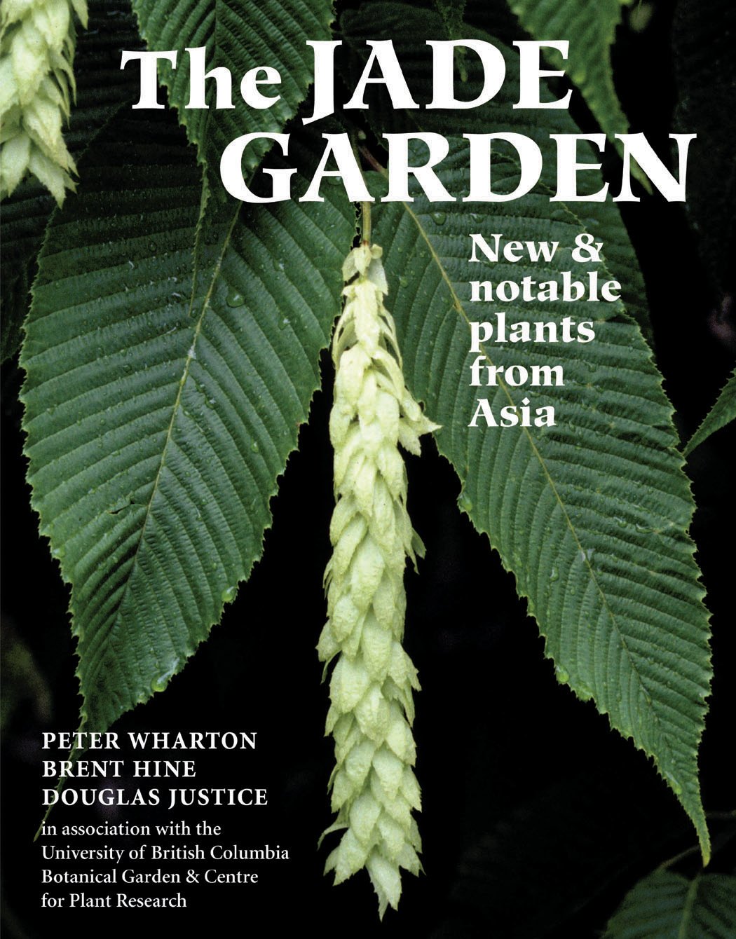 The Jade Garden: New and Notable Plants from Asia Garden & Plants