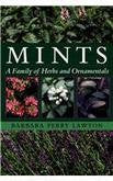 Mints: A Family Of Herbs And Ornamentals Garden & Plants