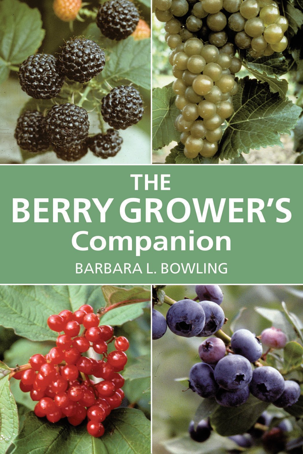 The Berry Grower's Companion Garden & Plants