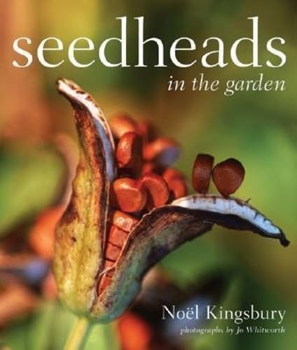 Seedheads in the Garden Garden & Plants