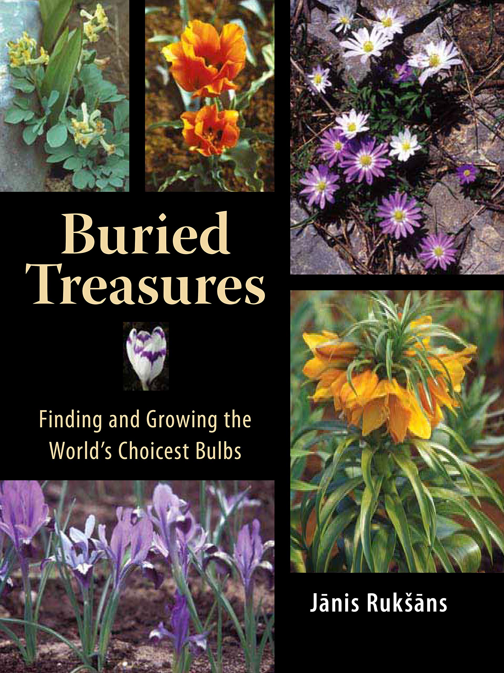 Buried Treasures: Finding and Growing the World's Choicest Bulbs Mathematics