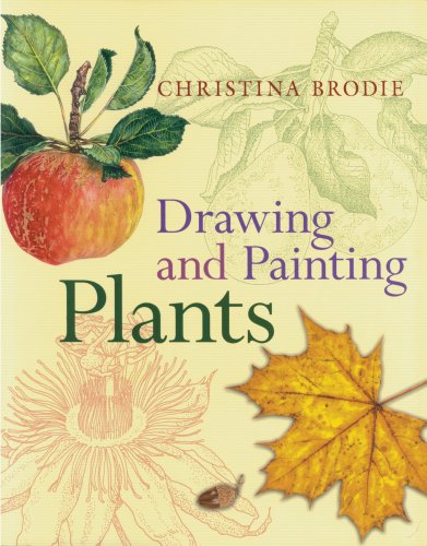 Drawing and Painting Plants Arts & Music