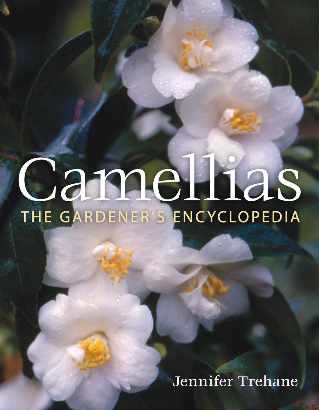 Camellias: The Gardener's Encyclopedia Garden & Plants
