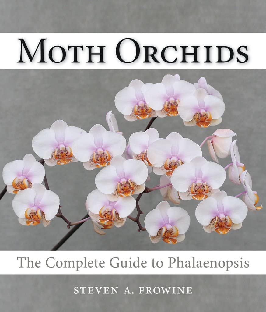 Moth Orchids: The Complete Guide to Phalaenopsis Garden & Plants