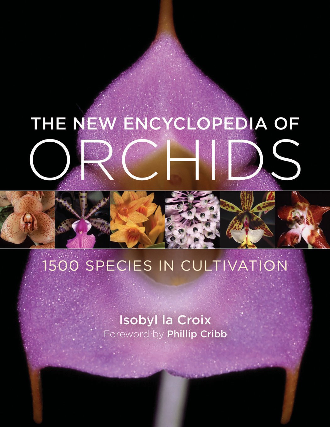 The New Encyclopedia of Orchids: 1500 Species in Cultivation book