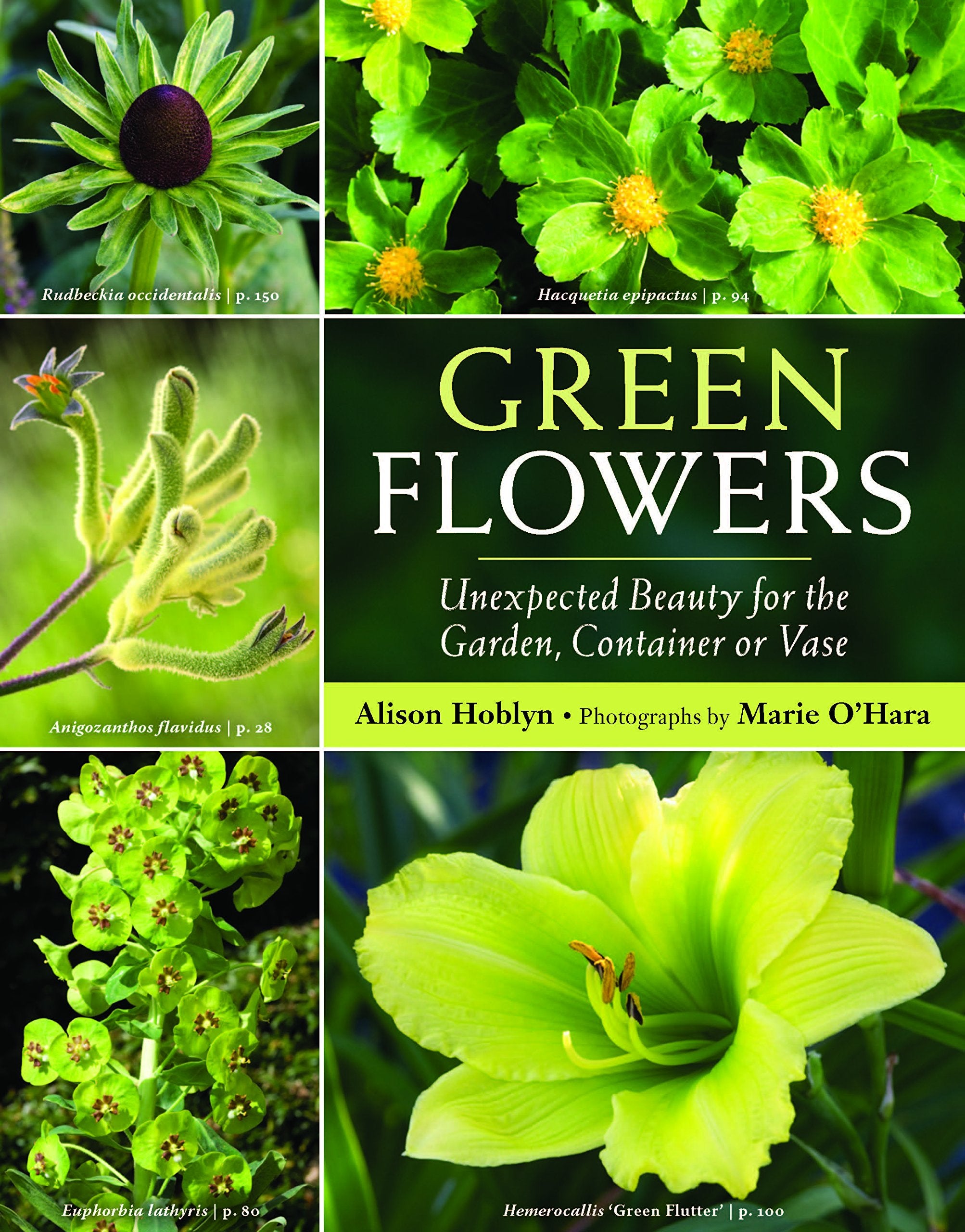 Green Flowers: Unexpected Beauty for the Garden, Container or Vase Garden & Plants