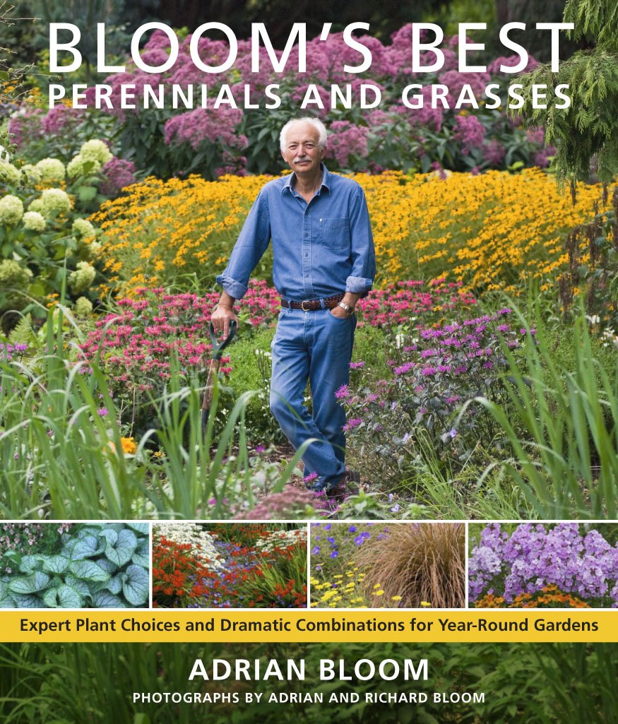 Blooms Best Perennials and Grasses: New Classics for the Year-Round Garden: Expert Plant Choices and Dramatic Combinations for Year-Round Gardens Garden & Plants