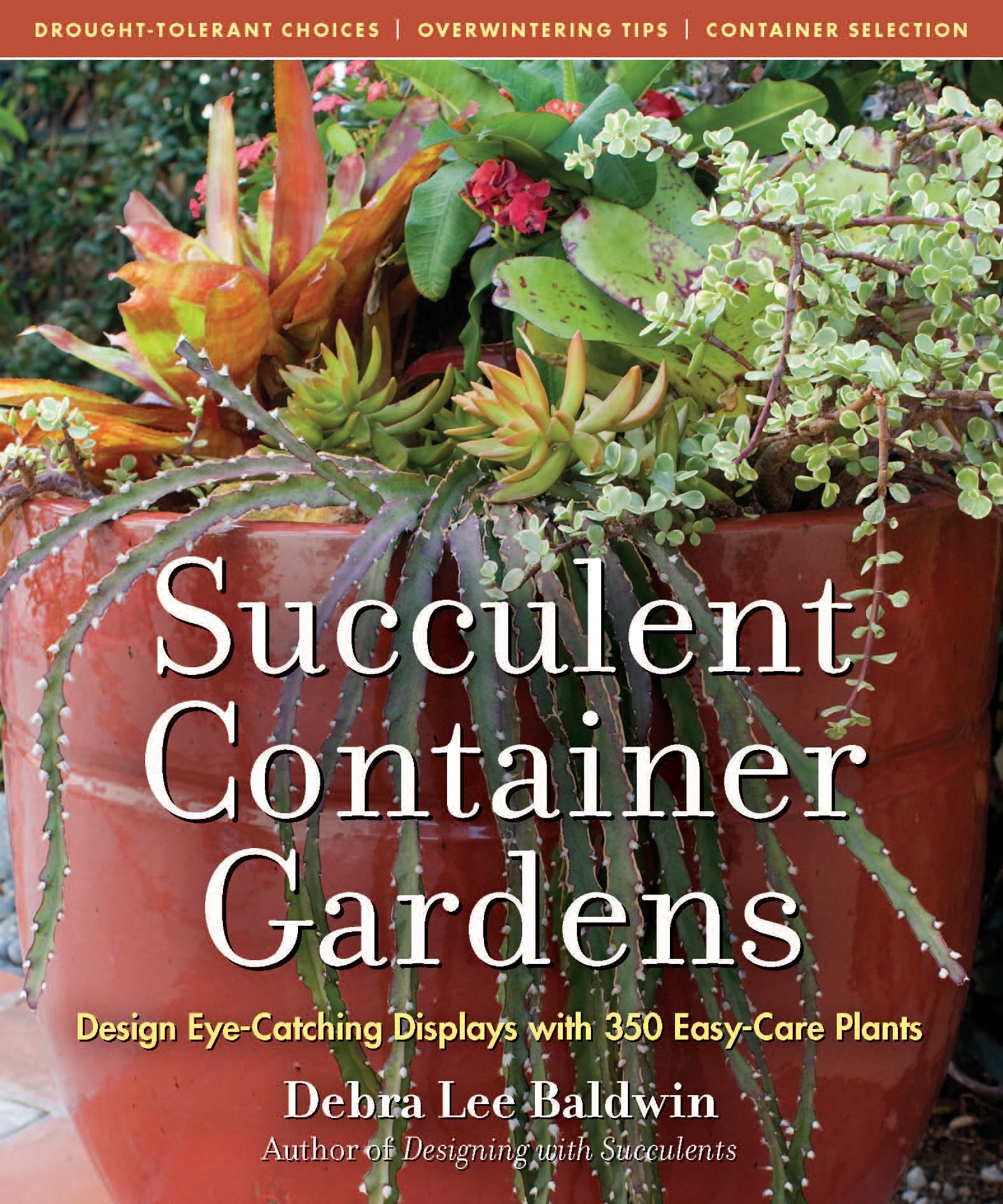 Succulent Container Gardens: Design Eye-Catching Displays with 350 Easy-Care Plants Mathematics