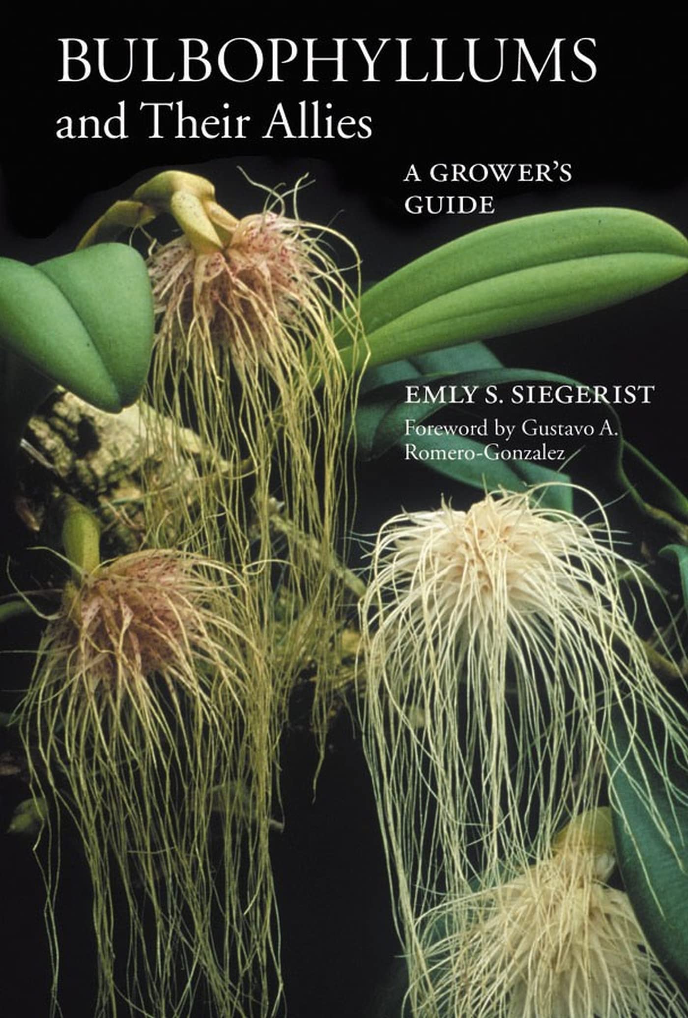 Bulbophyllums and Their Allies: A Grower's Guide Garden & Plants