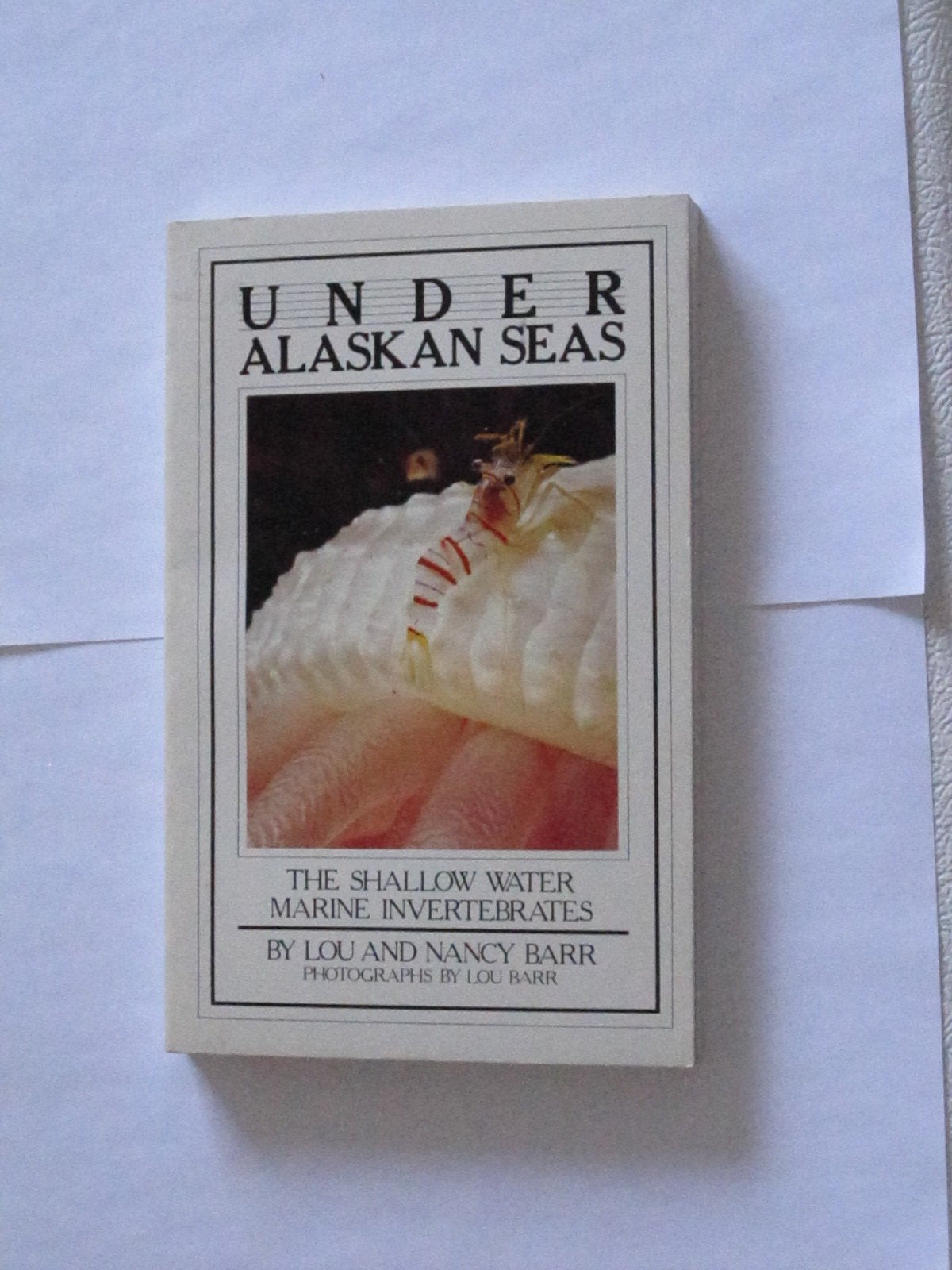 Under Alaskan Seas: The Shallow Water Marine Invertebrates Books