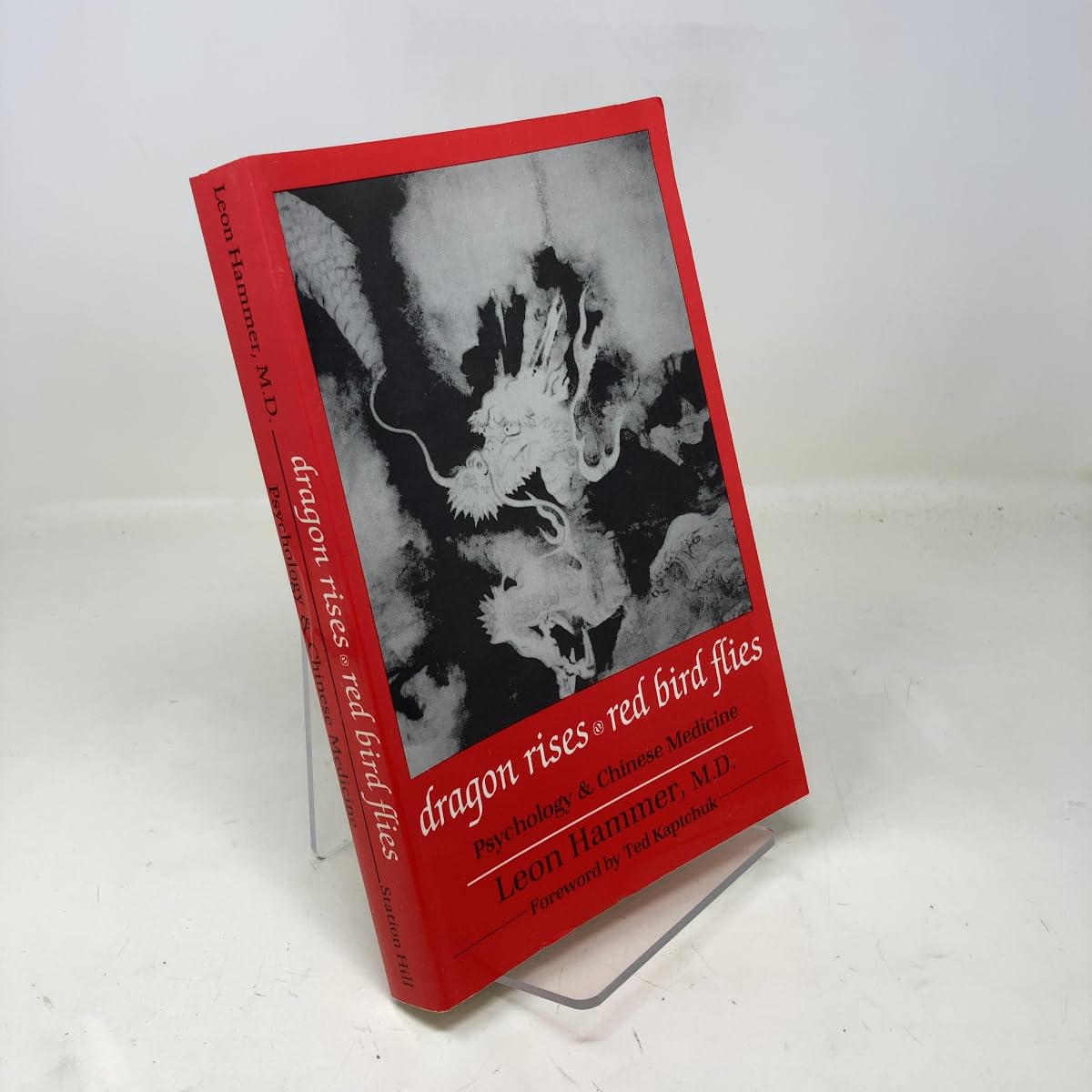 Dragon Rises, Red Bird Flies: Psychology, Energy and Chinese Medicine book